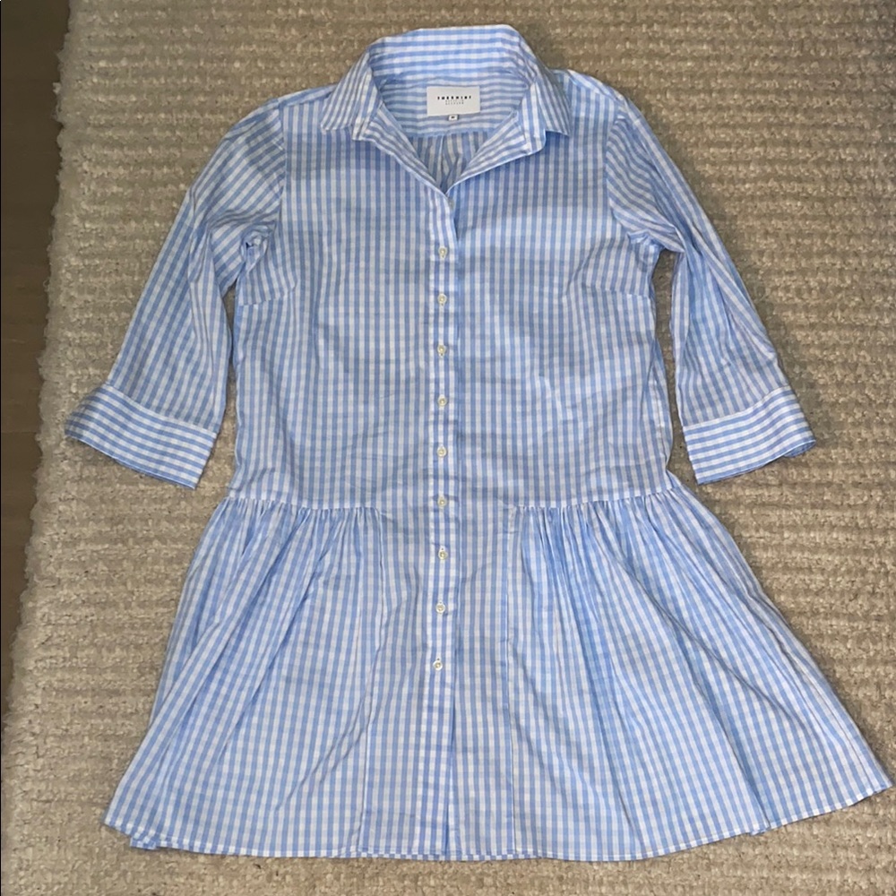 The Shirt by Rochelle Behrens Blue and White Pleated Shirt Dress